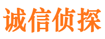 上甘岭市侦探